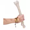Oermens armband voor volwassenen