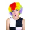 Veelkleurige Afroclownspruik voor volwassenen