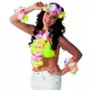 Kleurrijke Hawaii accessoires set