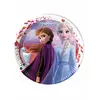 8 grote Frozen 2™ kartonnen borden