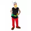 Asterix en Obelix™ Asterix kostuum voor volwassenen, Maat: Large