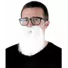 Witte hipster baard voor volwassenen