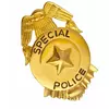 Badge de police or