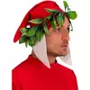 Dante's hoofdtooi voor volwassenen