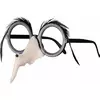 Lunettes nez et sourcils de sorcière femme Halloween