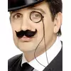 Monocle adulte