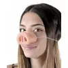Nez cochon adulte