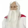 Asterix en Obelix™ Panoramix pruik en baard