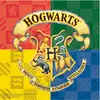 20 Harry Potter papieren servetten 33 x 33 cm