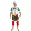 Romeinse legionair Asterix en Obelix™ kostuum voor mannen, Maat: Large