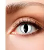 Lentilles fantaisie oeil chat 3 mois adulte