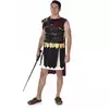 Romeins soldaten kostuum voor heren, Maat: Large