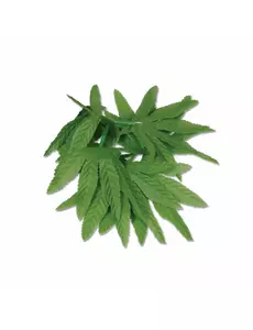 Bracelet poignet ou cheville feuilles tropicales