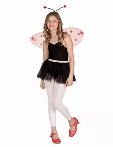 Kit ailes et serre-tête coccinelle enfant