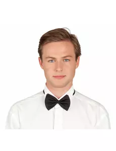 Noeud papillon noir adulte