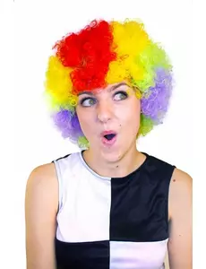 Perruque clown multicolore standard adulte