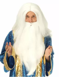 Tovenaarspruik met baard voor mannen