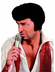 Rockstar pruik voor mannen