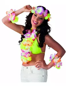 Kleurrijke Hawaii accessoires set