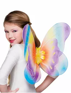 Regenboog vlinder vleugels voor meisjes