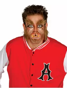 Weerwolf baard en wenkbrauwen voor mannen