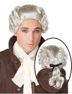 Perruque grise noble baroque homme