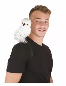 Tovenaar witte uil