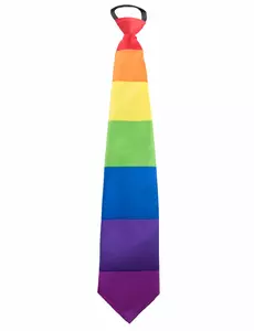 Cravate arc-en-ciel adulte