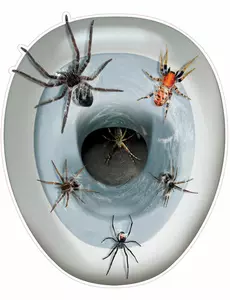 Spinnen WC decoratie