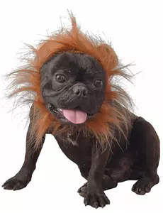 Leeuwenkostuum voor hond