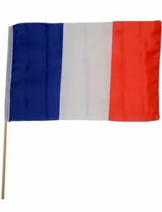 Vlag voor supporter Frankrijk