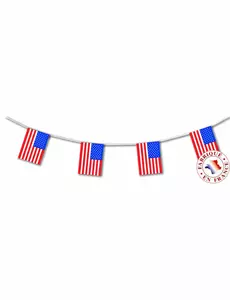 Guirlande fanions USA 4 mètres