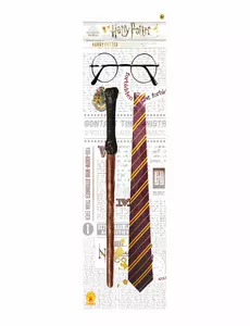 Kit d'accessoires Harry Potter™ enfant