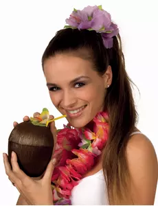 Noix de coco Hawaï