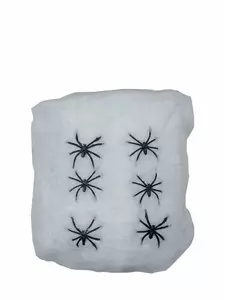 Spinnenweb Halloween