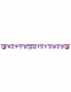 Guirlande Happy Birthday La Reine des Neiges Flocons™ 2,10 m