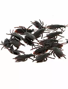 12 zwarte kakkerlakken