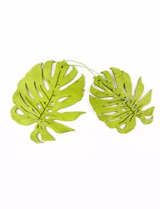 2 groene houten tropische bladeren