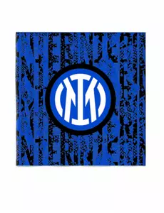 20 Serviettes en papier Inter™ 33 x 33 cm