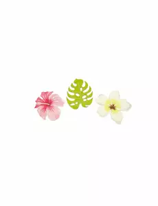 9 Confettis en bois fleurs et feuilles tropicales 3,8 cm