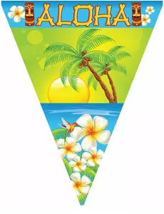 Guirlande fanions Aloha 5 m