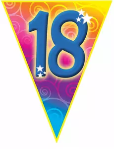 Guirlande fanions âge 18 ans 5 m