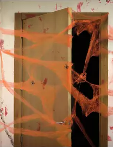 Oranje spinnenweb met spinnen