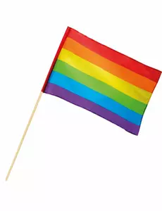 Drapeau Arc-en-ciel 30 X 45 cm