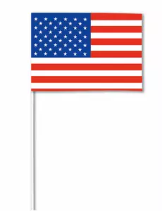 Drapeau papier USA 14 x 21 cm