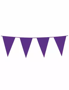 Guirlande à fanions violets 10m