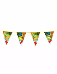 Hawaii beach party slinger 6 meter