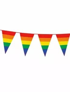 Guirlande fanions Arc-en-ciel 8 m