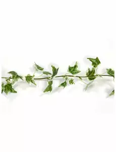 Guirlande lierre artificielle panaché 1,4 m