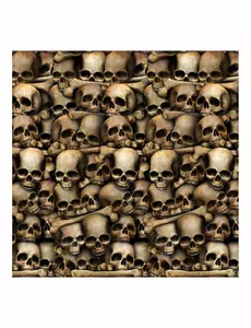 Skelet catacombe decoratie